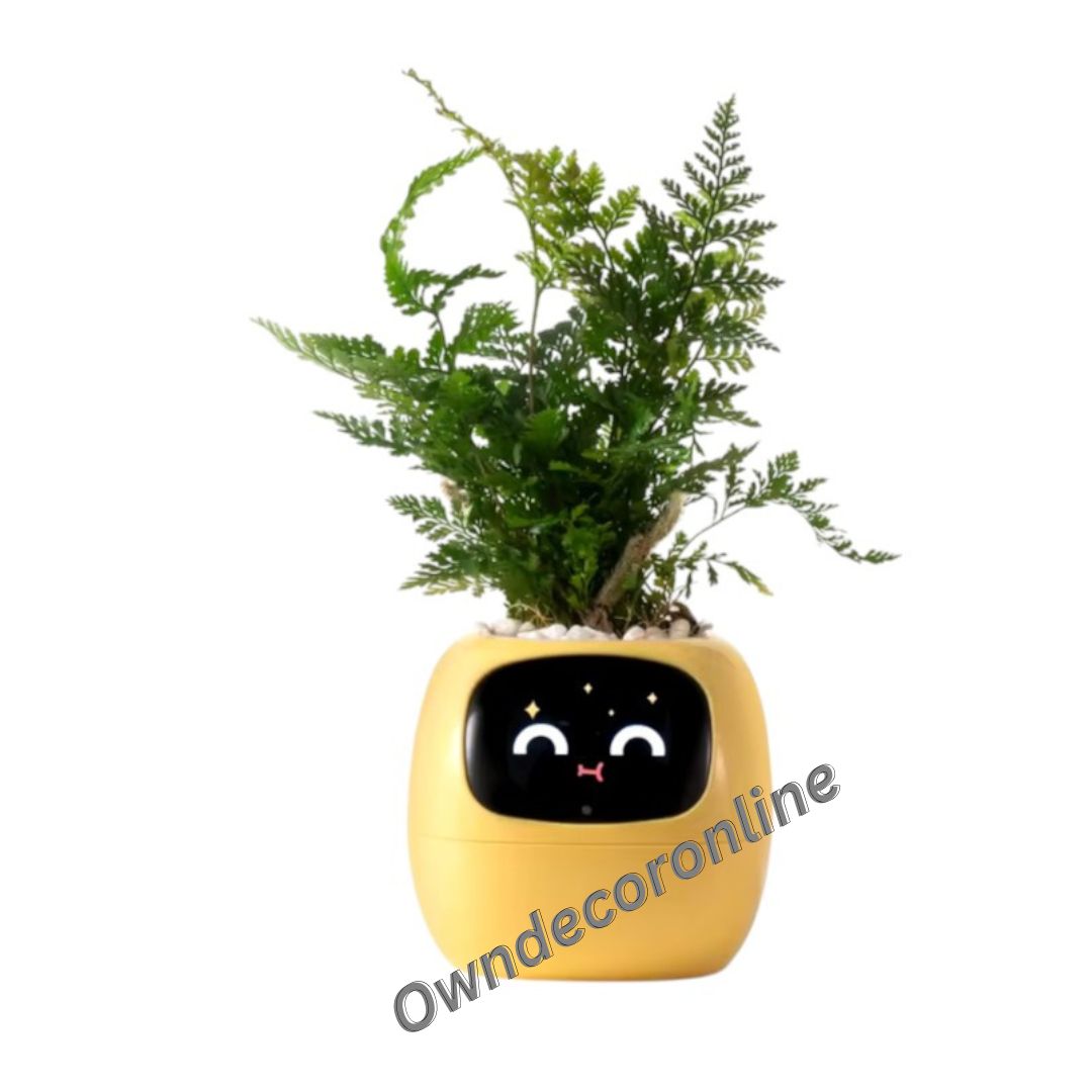 Owndecoronline-Smart Planter