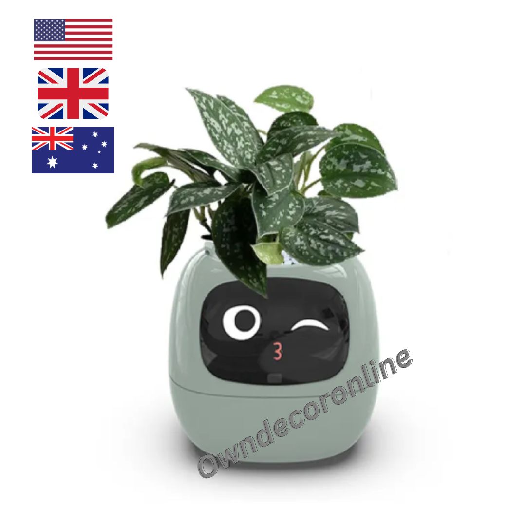 Owndecoronline-Smart Planter